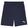 Puma TeamGOAL Short