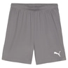 Puma TeamGOAL Short