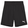 Puma TeamGOAL Short