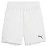 Puma TeamGOAL Short