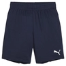 Puma TeamGOAL Short