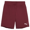 Puma TeamGOAL Short