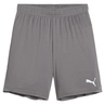 Puma TeamGOAL Short