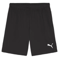 Puma TEAMGOAL SHORTS