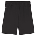 Puma TEAMGOAL SHORTS