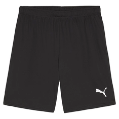 Puma TEAMGOAL SHORTS