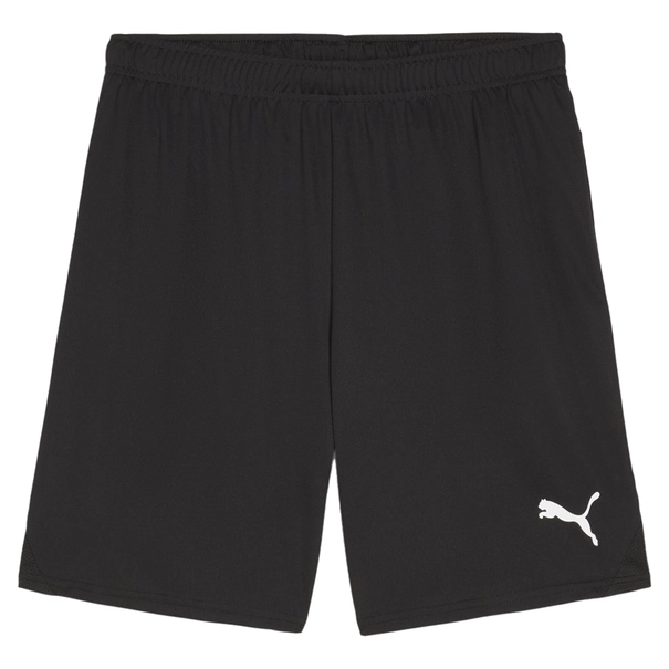 Puma TEAMGOAL SHORTS