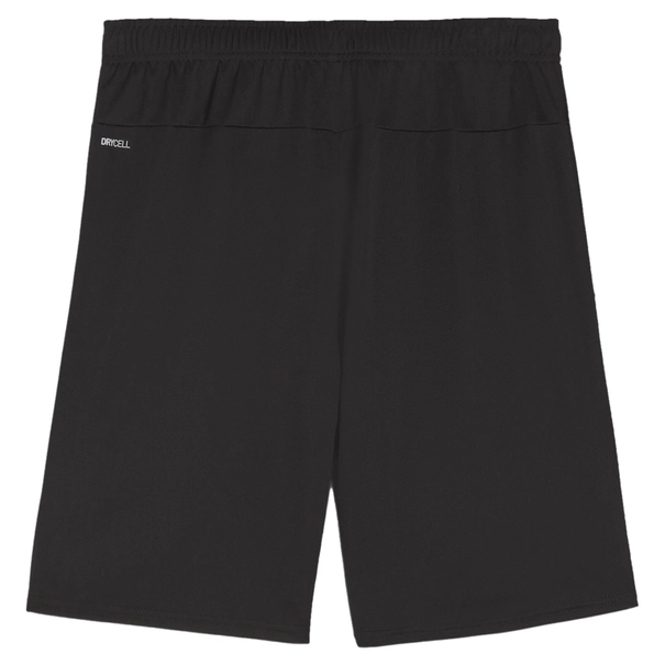 Puma TEAMGOAL SHORTS