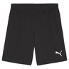 Puma TEAMGOAL SHORTS