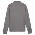 Puma TeamGOAL Training 1/4 Zip Top