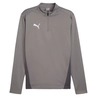 Puma Teamgoal Training 1/4 Zip top