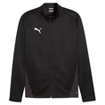 Puma TeamGOAL Training Jacket