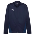 Puma TeamGOAL Training Jacket