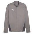 Puma TeamGOAL Training Jacket