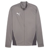 Puma TeamGOAL Training Jacket