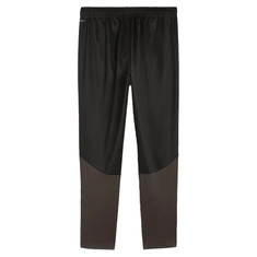 Puma TEAMGOAL TRAINING PANT