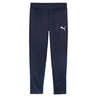 Puma TEAMGOAL TRAINING PANT