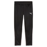 Puma TEAMGOAL TRAINING PANT