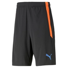 Puma TEAMLIGA TRAINING SHORT 2