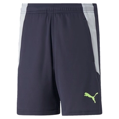 Puma TEAMLIGA TRAINING SHORTS 2