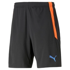 Puma TEAMLIGA TRAINING SHORTS 2