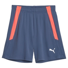 Puma TEAMLIGA TRAINING SHORTS 2