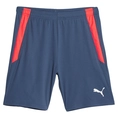 Puma TeamLIGA Trainingsshort 2