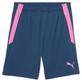 Puma TeamLIGA Trainingsshort 2