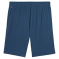 Puma TeamLIGA Trainingsshort 2