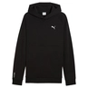 Puma Tech Hoodie