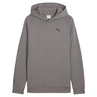 Puma Tech Hoodie