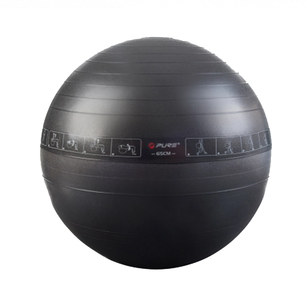 Pure2Improve Gymbal