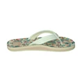 Reef KIDS AHI