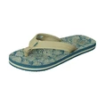 Reef KIDS AHI