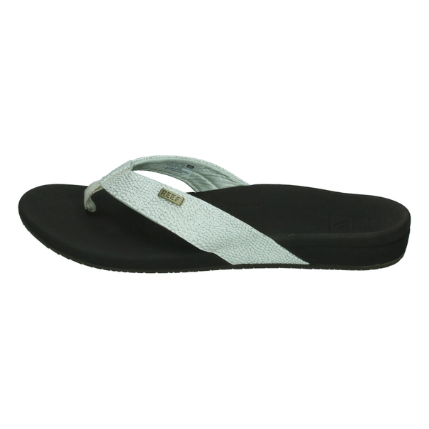 Reef Ortho Spring