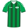 Roda'23 WEDSTRIJD SHIRT DAMES KM