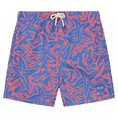 Shiwi Milo Starfish Zwembroek