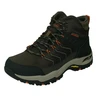 Skechers Arch Fit Dawson-Raveno