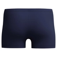 Speedo Medley Logo Aquashort