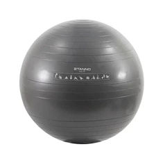 Stanno Exercise Ball