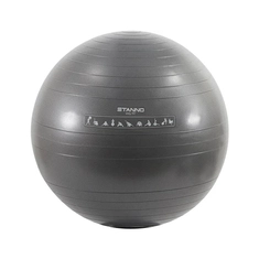 Stanno Exercise Ball