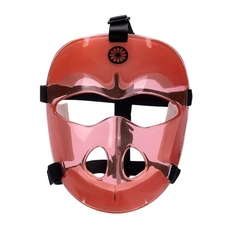 The Indian Maharadja Face guard Corner SR