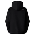 The North Face Drew Peak Pullover Hoodie