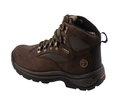 Timberland Chocorua Goretex Trail 2 Hiker