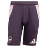 Trainingsshort