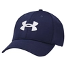 Under Armour Blitzing Pet