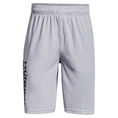 Under Armour Prototype 2.0 Wdmk Shorts