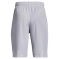 Under Armour Prototype 2.0 Wdmk Shorts