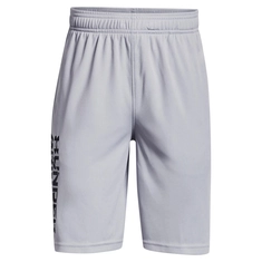 Under Armour Prototype 2.0 Wdmk Shorts