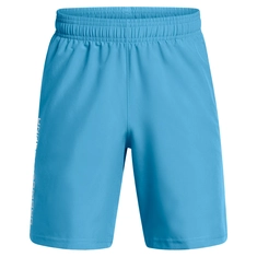 Under Armour Tech Woven Wordmark Short